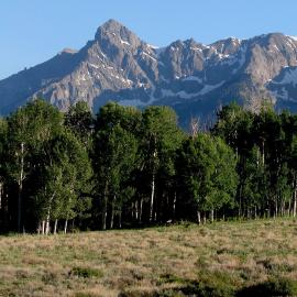 Private Lands Protecting Species